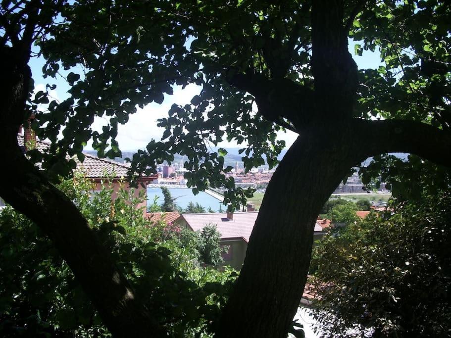 Studio With Garden Near The Sea Capodistria Esterno foto