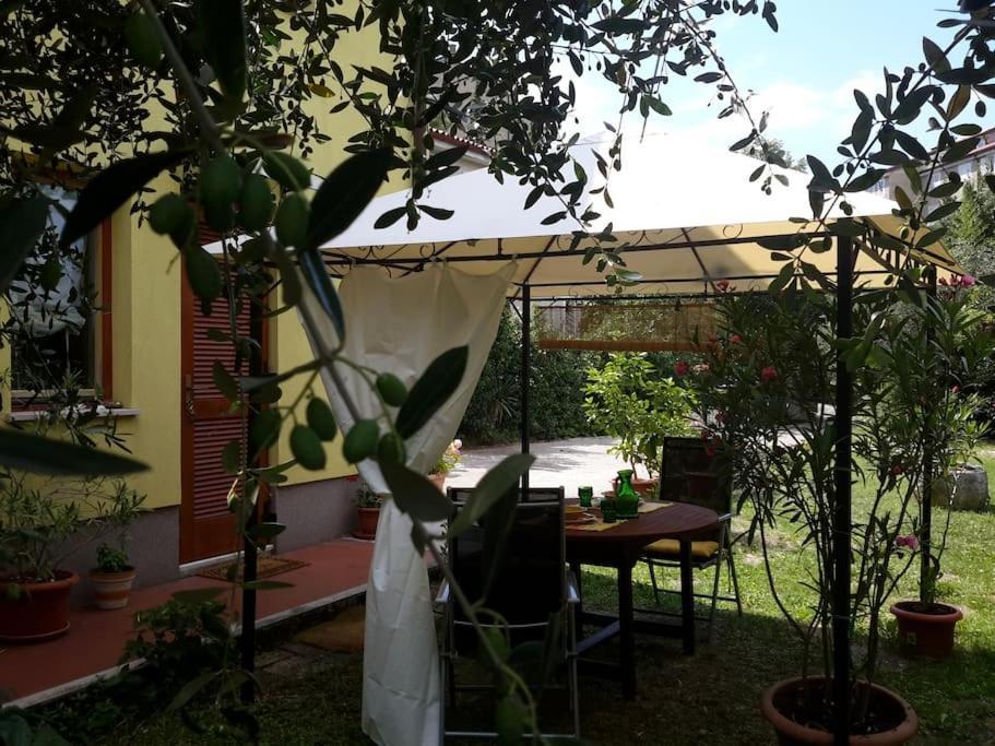 Studio With Garden Near The Sea Capodistria Esterno foto